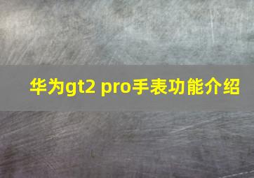 华为gt2 pro手表功能介绍